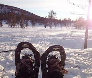 Crosss_Country_Skiing
