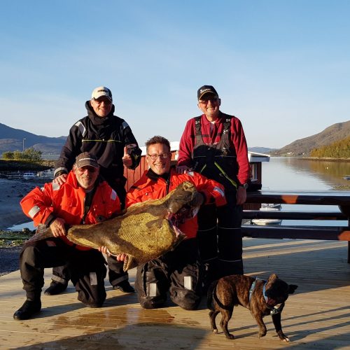 norway_fishing_tromso