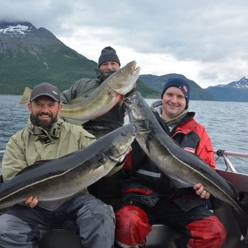 norway_fishing_tromso_2