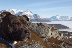 norway_troms_06
