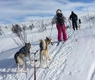 ski_sleding_9